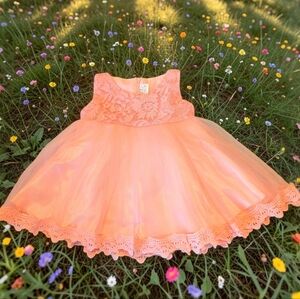 Coral Lace Tulle Baby Dress